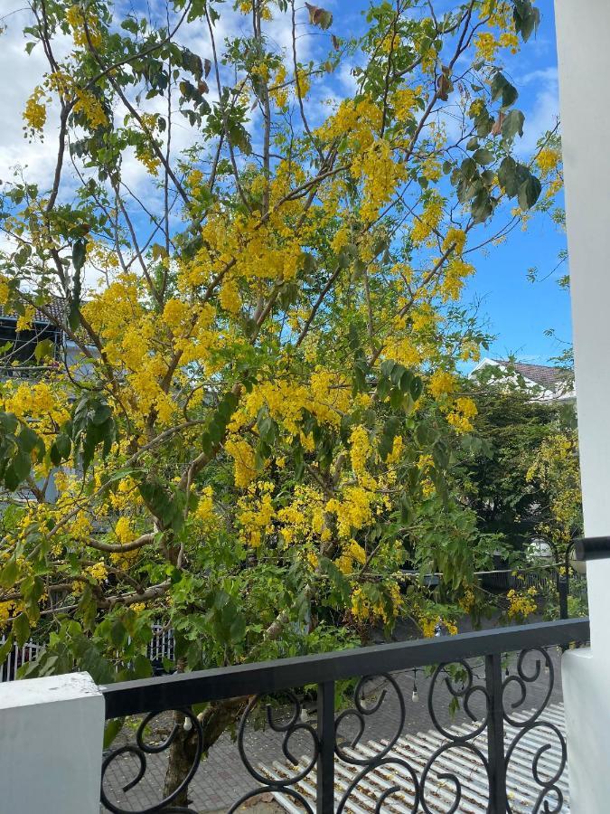 Aurora Homestay 广义 外观 照片